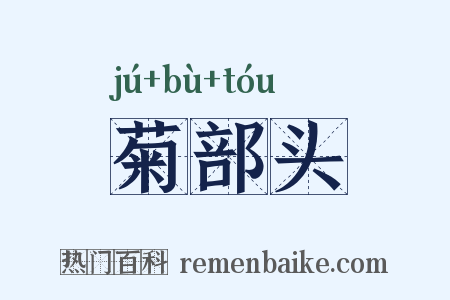 菊部头是什么意思的图片